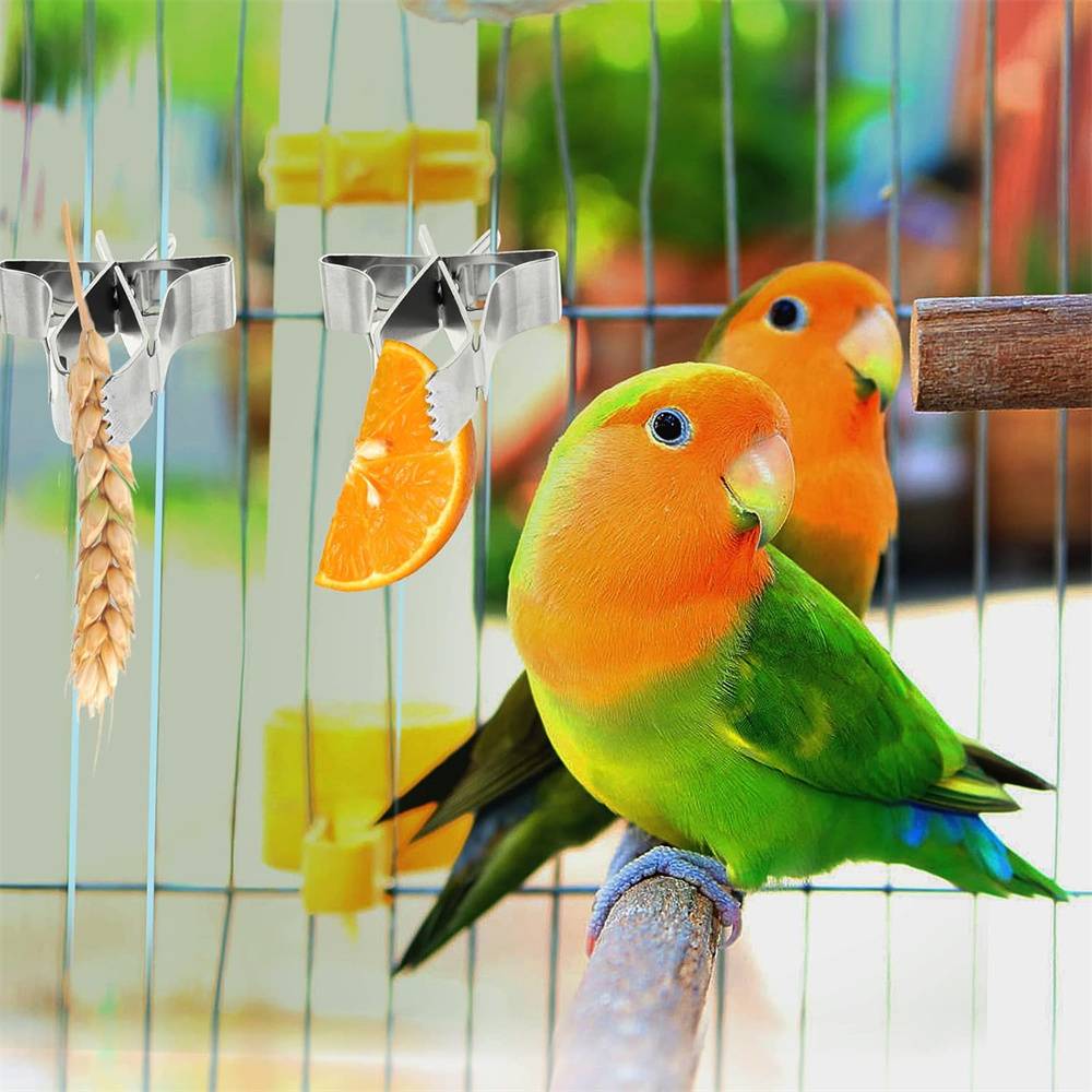 Porte - Nourriture pour oiseaux 5 Pcs DtopbuyAge - Image 3