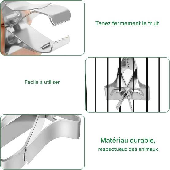 Porte - Nourriture pour oiseaux 5 Pcs DtopbuyAge - Image 4