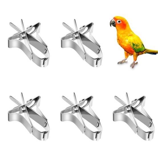 Porte - Nourriture pour oiseaux 5 Pcs DtopbuyAge - Image 1