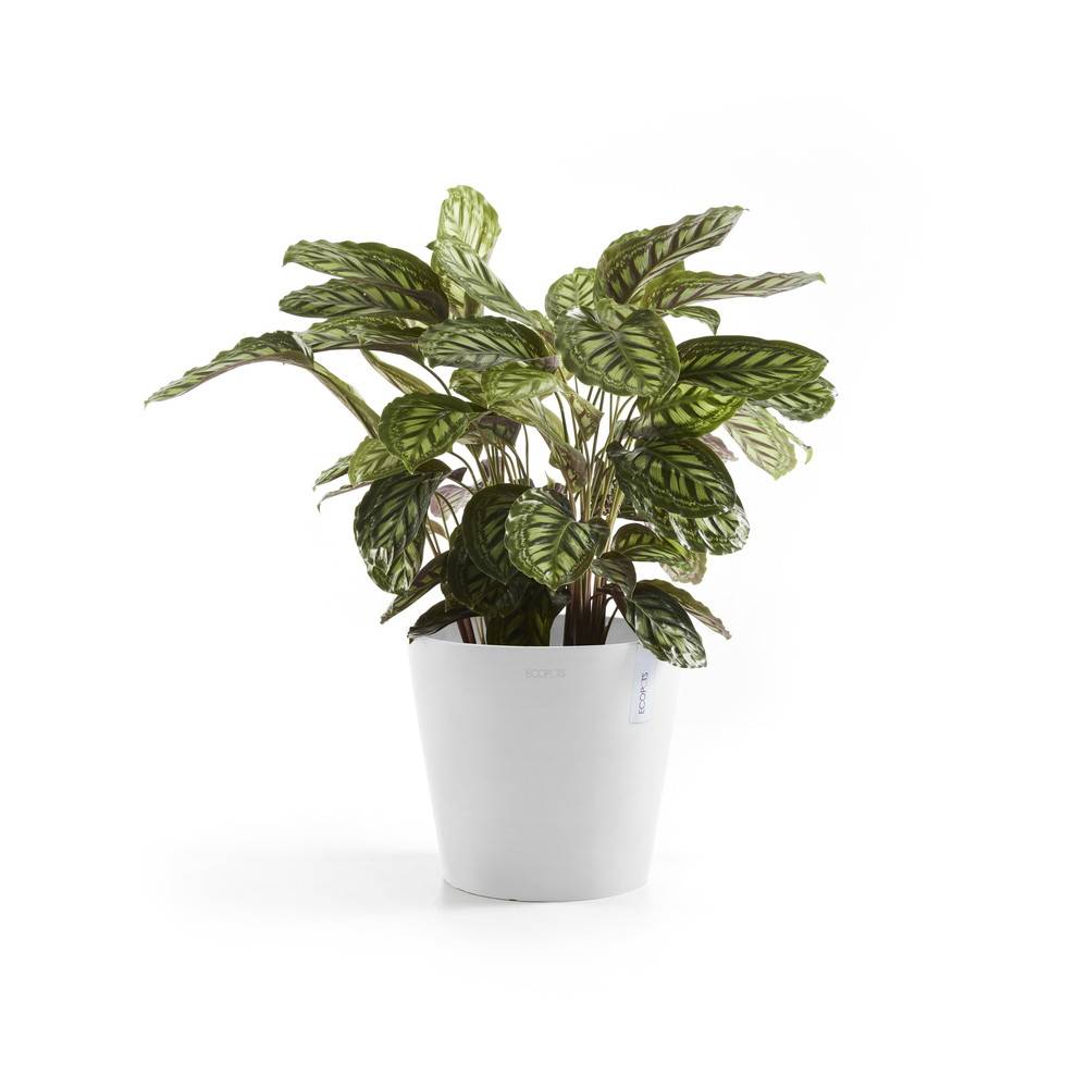 Ecopots - Pot Rond Amsterdam 30 Blanc Pur + réservoir d'eau - Ø 30 x H. 26,3 cm - 12,8 L ECOPOTS - Image 3