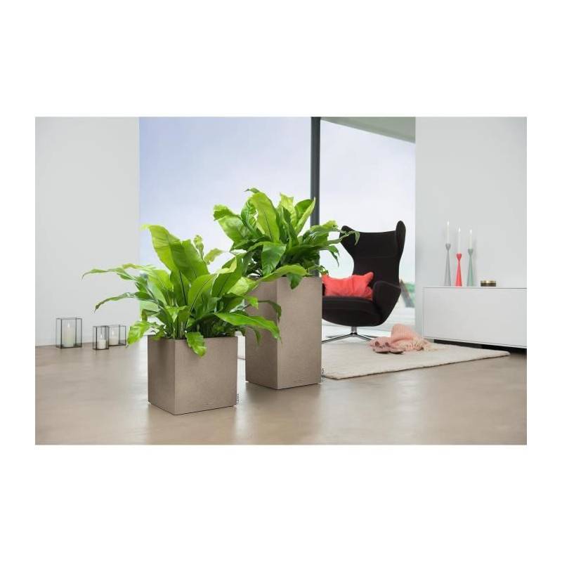 Lechuza - Pot De Fleur Lechuza Canto Stone Colonne 40 - Kit Complet, Beige Sable - Image 5