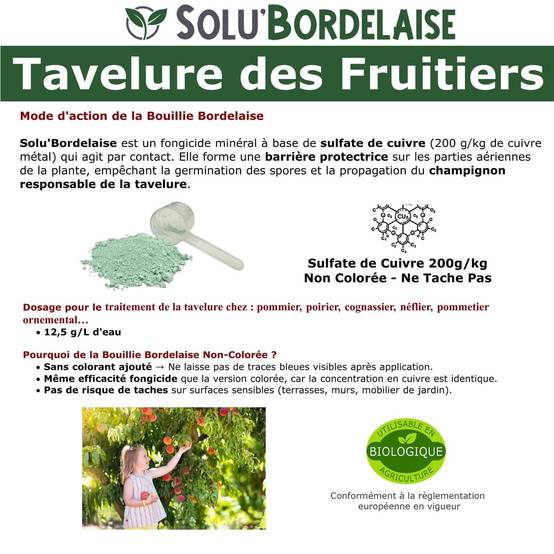 Solu'Bordelaise - Tavelure des Fruitiers - 5 kg de Bouillie Bordelaise Non Colorée- Polyvalent à base de Sulfate de Cuivre 200 g/kg-Doseur inclus-UAB - Image 3