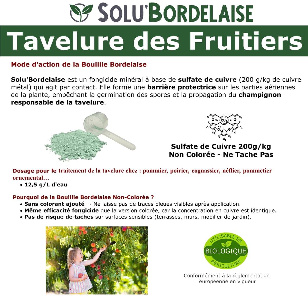 Solu'Bordelaise - Tavelure des Fruitiers - 5 kg de Bouillie Bordelaise Non Colorée- Polyvalent à base de Sulfate de Cuivre 200 g/kg-Doseur inclus-UAB - Image 3