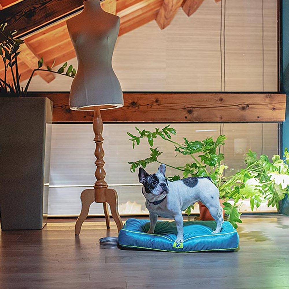 Ferplast - FERPLAST Panier Chien Chat - Coussin Orthopédique Chien - Lavable en Machine - Tapis Chien - Lit Chat Chien - Imperméable & Anti-Rayures - Rembourrage - Image 4