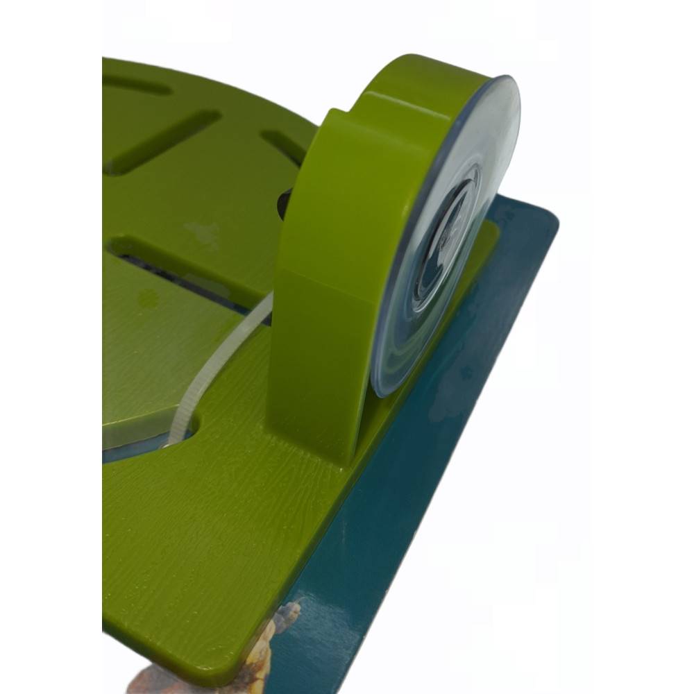 Animallparadise - Plage karapas vert pour tortues, 33 cm. - Image 4