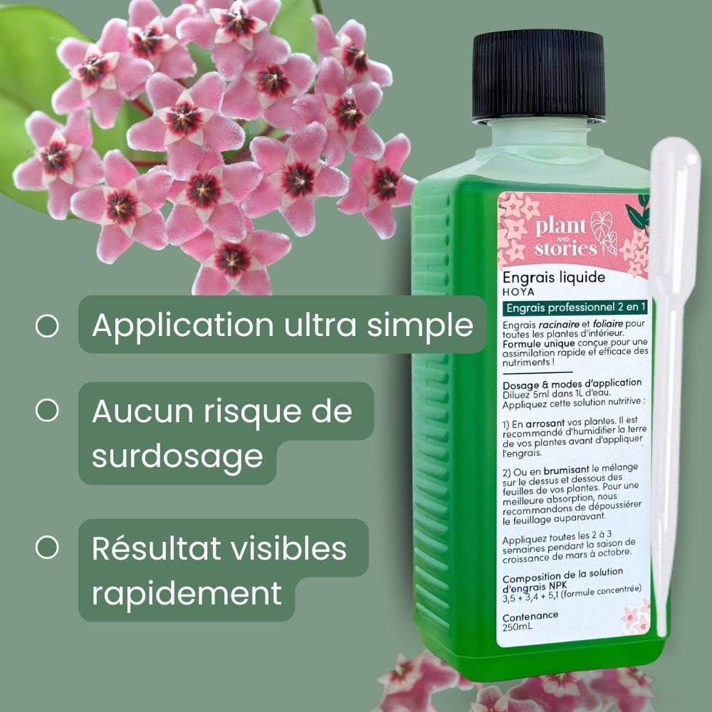 Duo - Terreau Hoya Premium 4L + Engrais liquide spécial Hoya 250ml + Pipette graduée offerte - Image 10