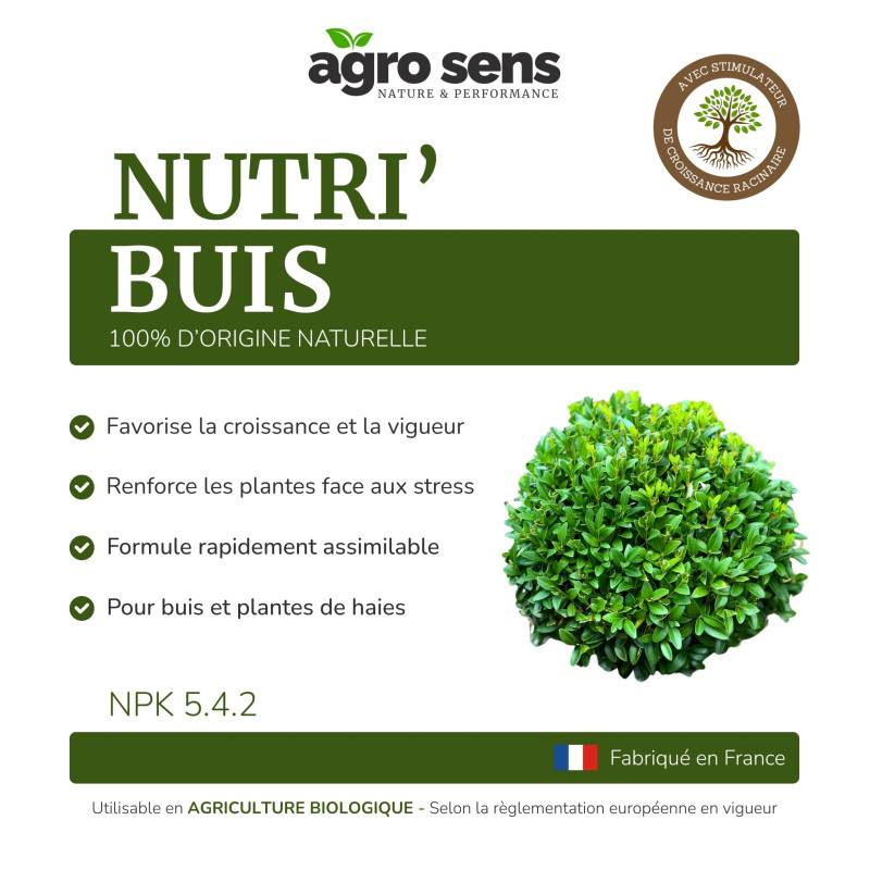 Nutri Buis - Engrais liquide pour buis et conifères - 1 litre (500 litres de préparation) - Image 4
