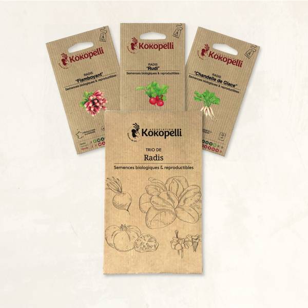 Radis aux formes variées - 3 sachets de graines bio à semer - Image 2