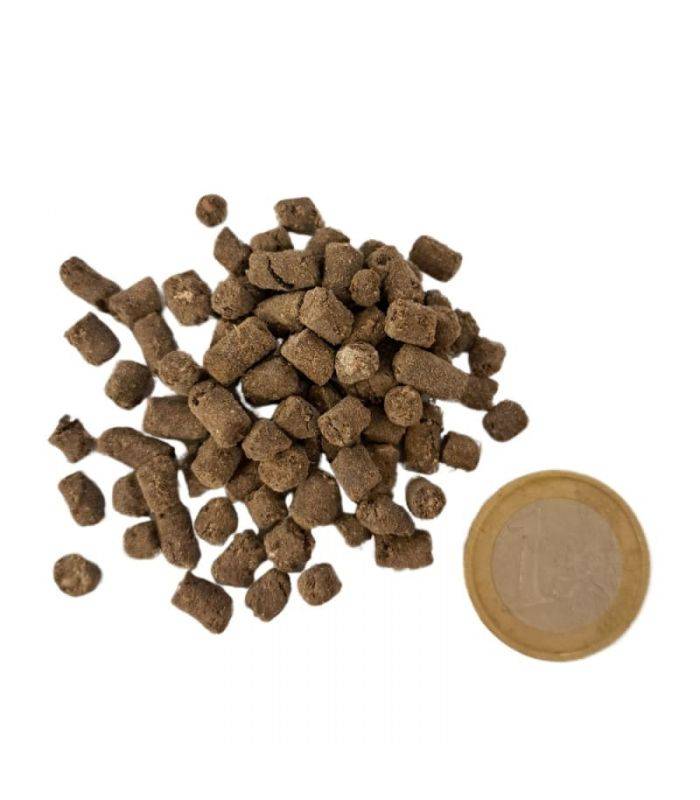 Florivert - Engrais organique Flori Or Humus 25 kg 100% naturel, pour potagers et plantations - Florivert NEG01809 - Image 2