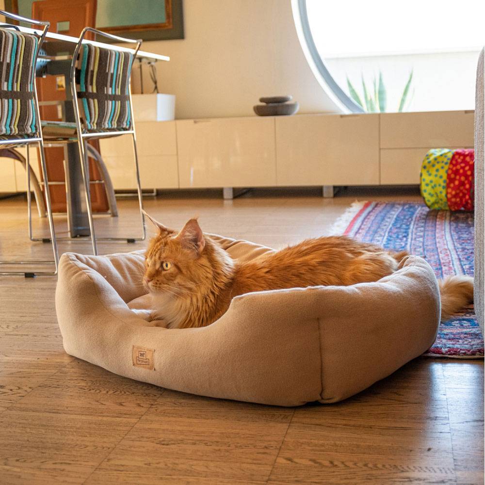 Ferplast - Canapé Lit pour Chiens et Chats COCCOLO MICROFLEECE 60 Doux Micropolaire Lavable Beige - Image 3