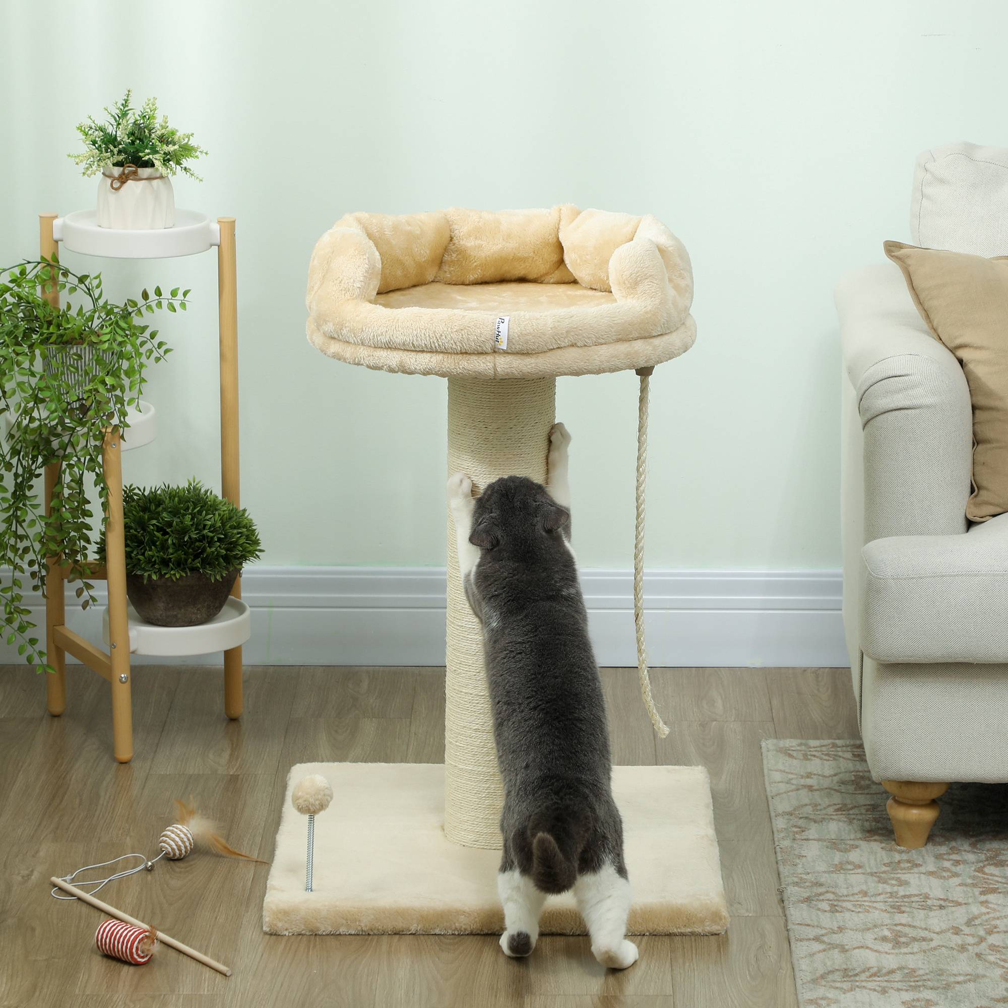 Arbre à chat sisal et peluche beige 55 x 55 x 83 cm - PANGIVO - Image 9