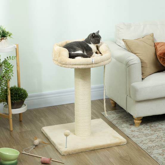 Arbre à chat sisal et peluche beige 55 x 55 x 83 cm - PANGIVO - Image 3