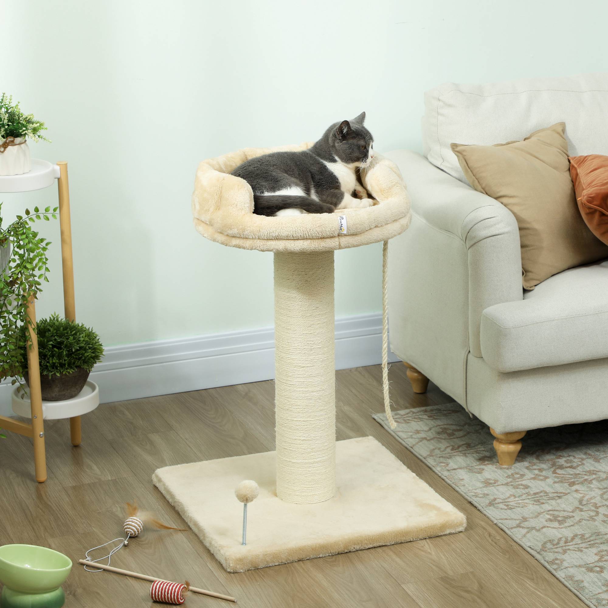 Arbre à chat sisal et peluche beige 55 x 55 x 83 cm - PANGIVO - Image 3
