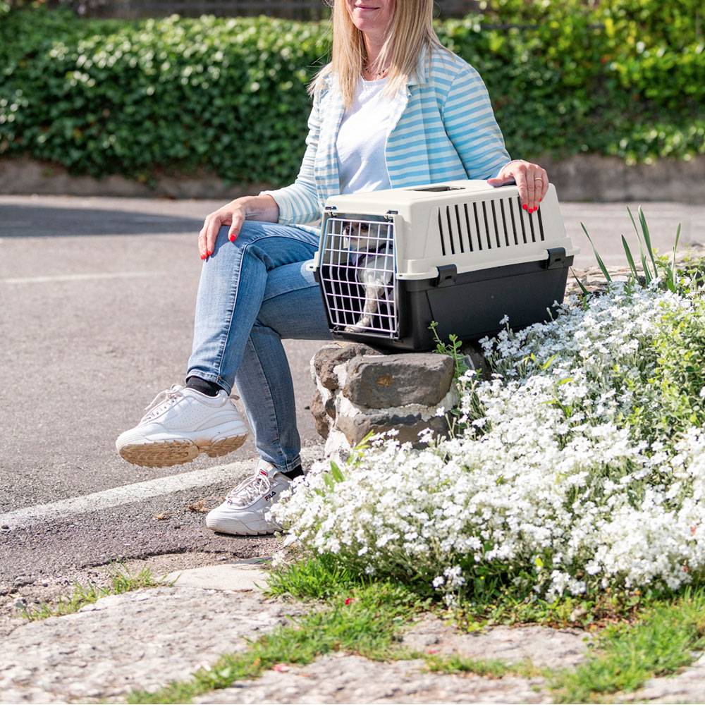 Ferplast - Ferplast Caisse de Transport Chat, Cage de Transport pour Chiens Petits et Chats jusqu'à 5 Kg, Porte en Fer Plastifié, Fentes d'Aération, 32,5 x 48 x - Image 3