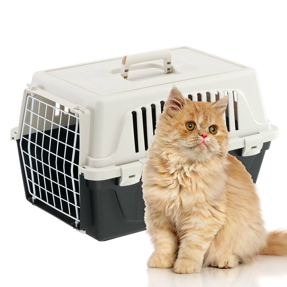 Ferplast - Ferplast Caisse de Transport Chat, Cage de Transport pour Chiens Petits et Chats jusqu'à 5 Kg, Porte en Fer Plastifié, Fentes d'Aération, 32,5 x 48 x - Image 7