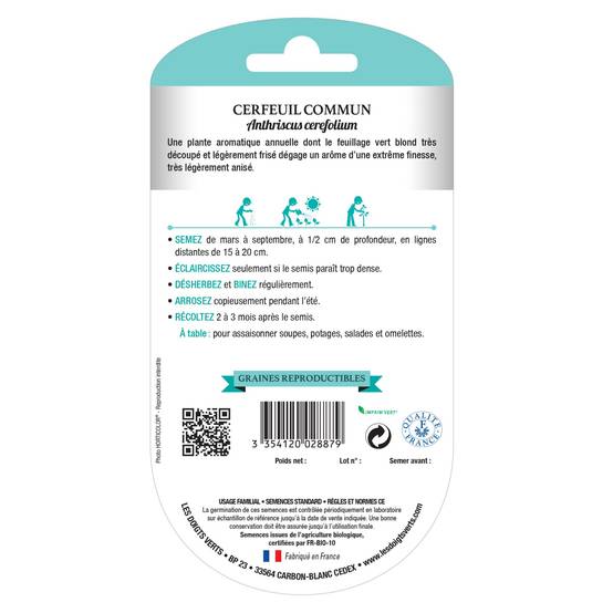 Graines de persil commun 2 BIO Les Doigts Verts - Image 2