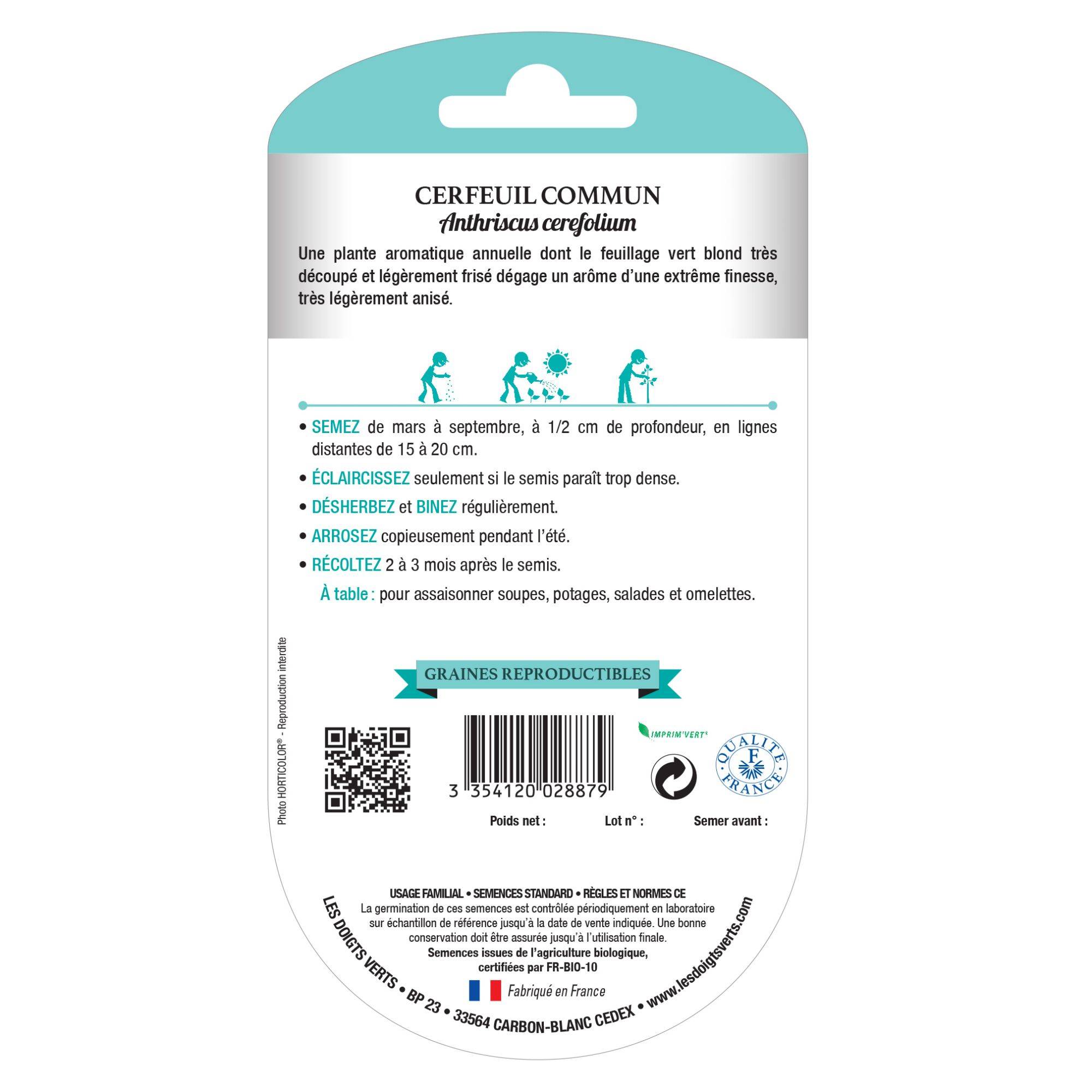 Graines de persil commun 2 BIO Les Doigts Verts - Image 2