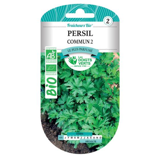 Graines de persil commun 2 BIO Les Doigts Verts - Image 1