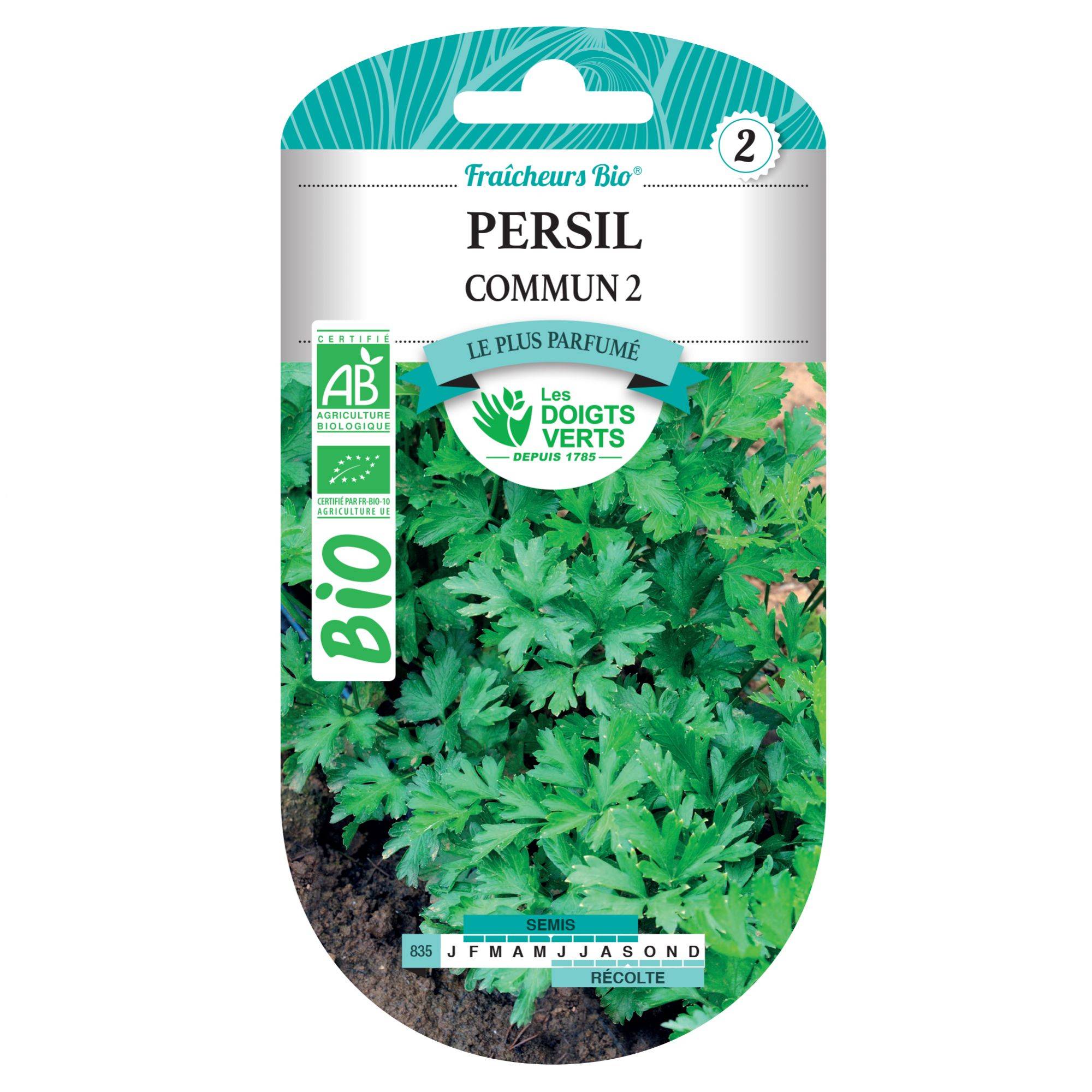 Graines de persil commun 2 BIO Les Doigts Verts - Image 1