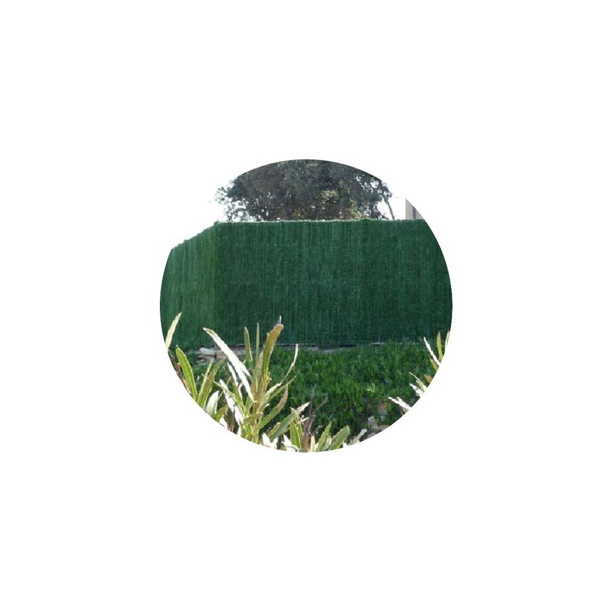 Haie artificielle 126 brins vert thuyas en rouleau Supra (Lot de 8) 1.5 x 3 m - Image 1