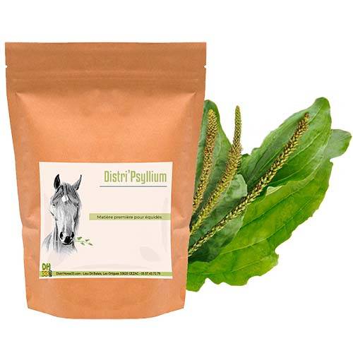 Psyllium cheval - Colique de sable - 500g - Distri’Horse33 - Image 1