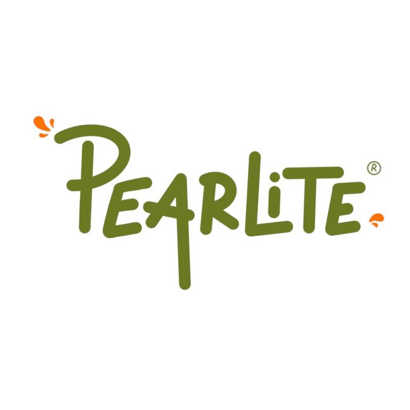Poirier nain Pearlite - Nains de jardins® - Bon rendement - Pot de 5L - 40/80 cm - De 1,50 m à 2,00 m - Image 6