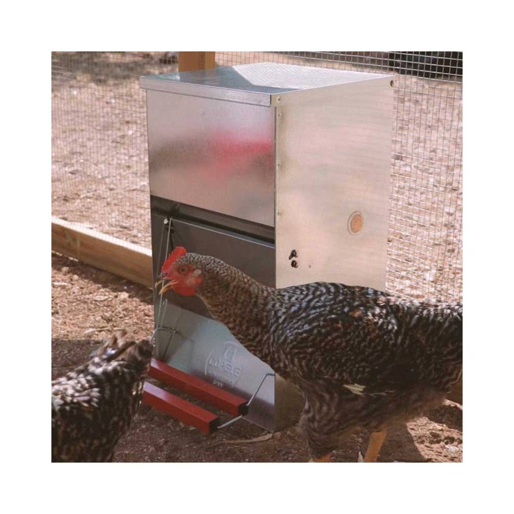 Mangeoire anti-nuisibles 12 kg pour 6 poules - Image 5