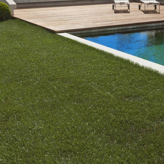 Gazon synthétique artificiel 1x10 M 40 mm d'épaisseur pour jardin et balcon - Image 1