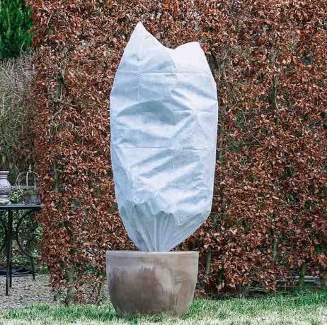 Housse d'hivernage 50g, Couleur Blanc, Diamètre 50 cm  lot de 3 - Image 1