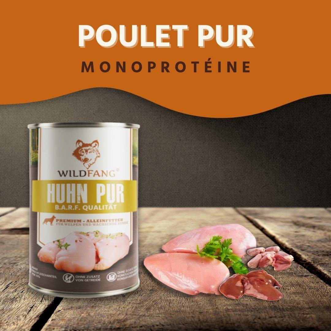Wildfang - Wildfang — Aliment pour poulets adultes sans céréales - 2 kg d'aliment sec et 6 sachets de 400 g d'aliment humide - Image 6