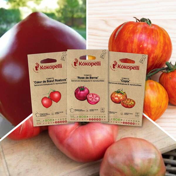 Tomates savoureuses - 3 sachets de graines bio à semer - Image 1