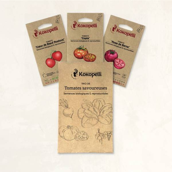 Tomates savoureuses - 3 sachets de graines bio à semer - Image 2