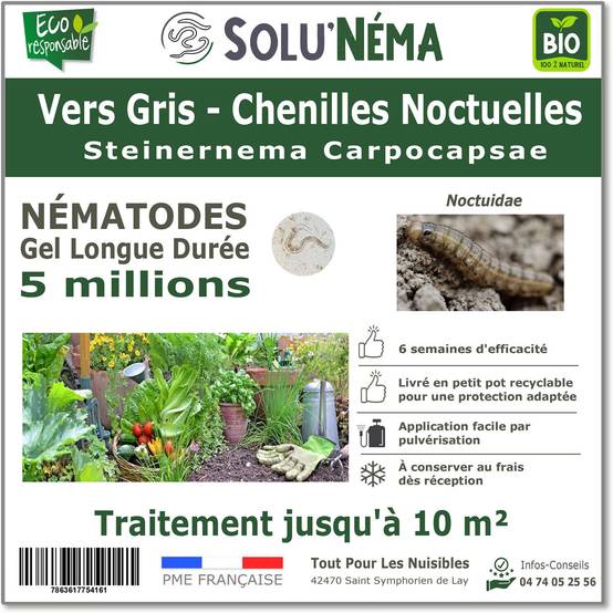 Solunéma - Vers Gris - (Chenilles Noctuelles)Traitement à base de nématodes Steinernema Carpocapsae - 5 millions pour traiter jusqu'à 10 m² - Image 1