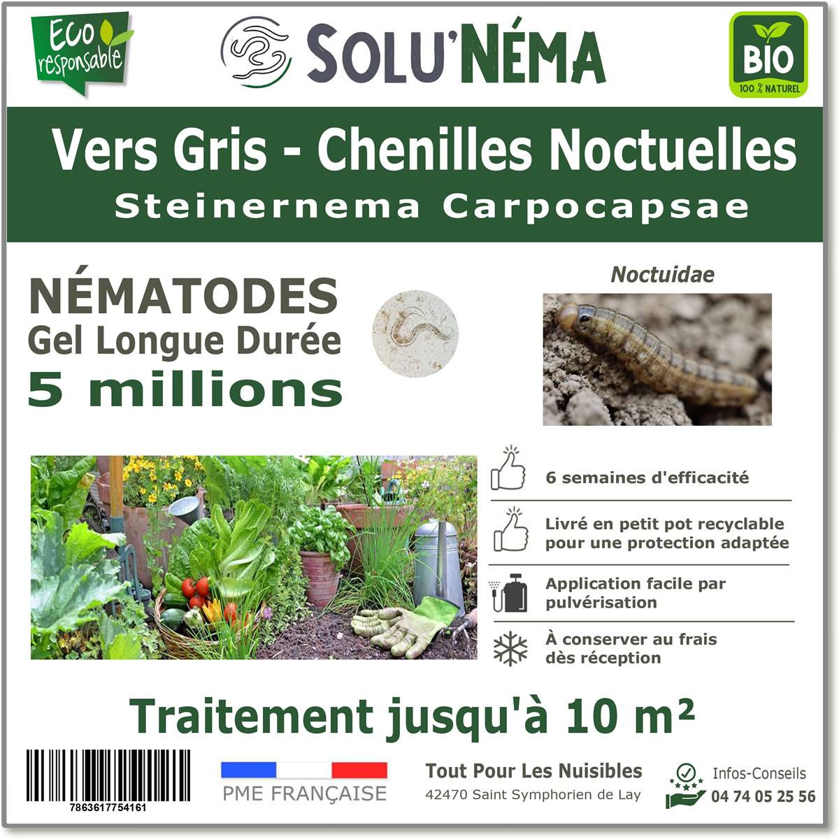 Solunéma - Vers Gris - (Chenilles Noctuelles)Traitement à base de nématodes Steinernema Carpocapsae - 5 millions pour traiter jusqu'à 10 m² - Image 1