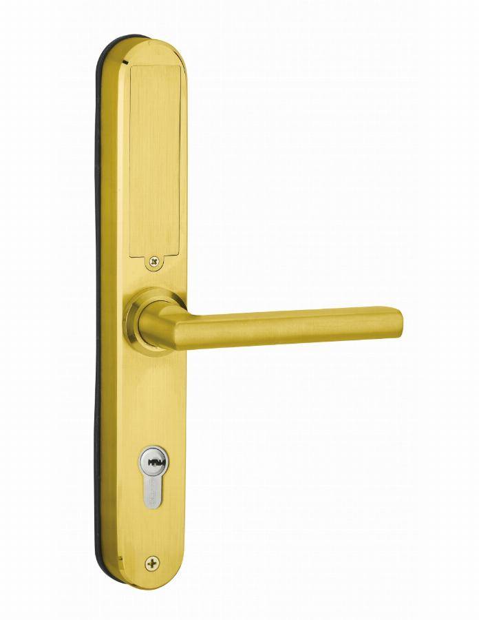 Garniture de porte Intelock Multi THIRARD entraxe 85 Révers. carré 8 - Or - 78913 - Image 2