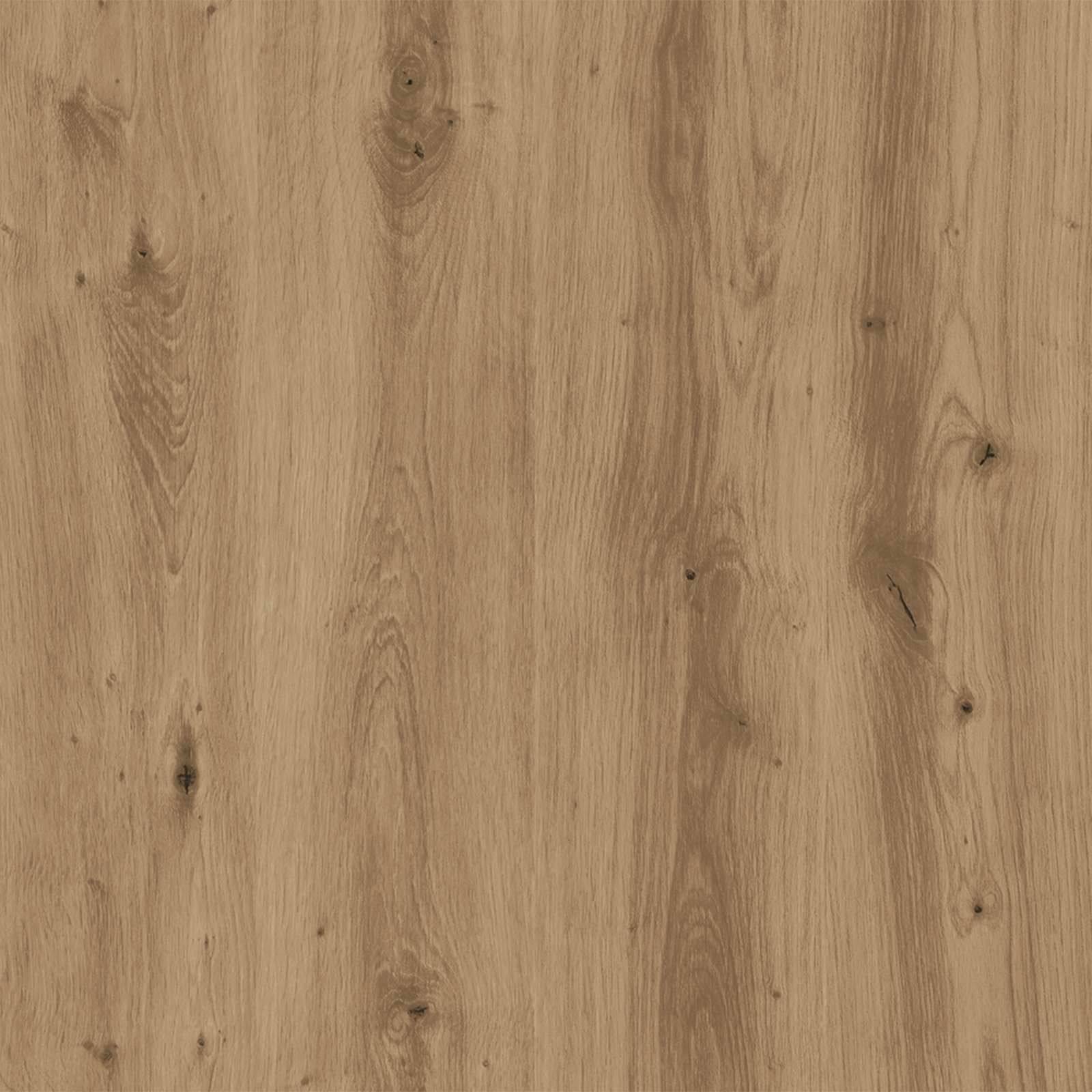 Prolenta Premium - Meuble à litière pour chat bois marron  42 x 42 x 51 cm  - Prolenta premium p335.8 - Image 9