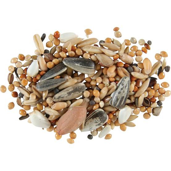 Zolux - Graines grandes perruches nutrimeal 2.5Kg - Image 2