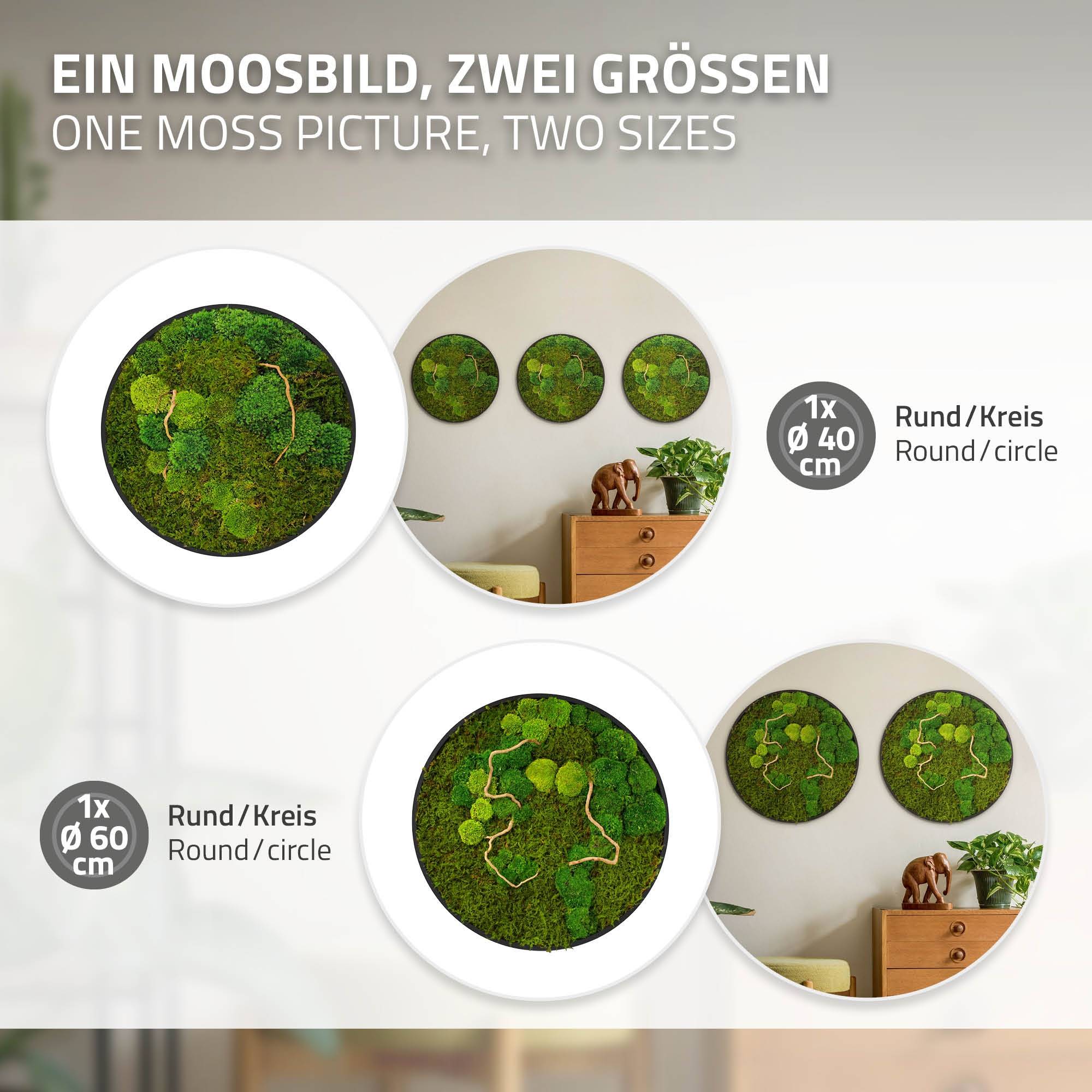 Ecd-Germany - Tableau végétal mural, mélange de mousses stabilisées et de branches, rond Ø40cm, vert, décoration d'intérieur effet 3D, sans entretien, pièce unique - Image 6