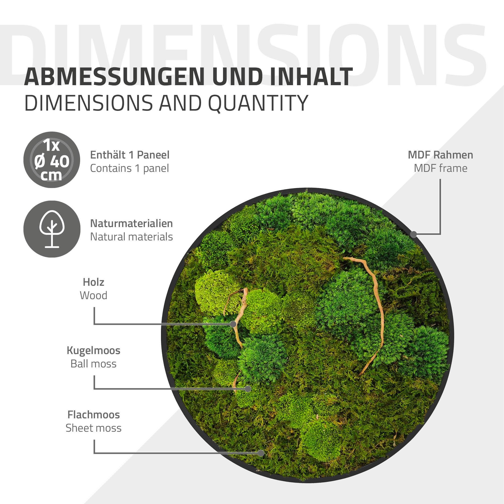 Ecd-Germany - Tableau végétal mural, mélange de mousses stabilisées et de branches, rond Ø40cm, vert, décoration d'intérieur effet 3D, sans entretien, pièce unique - Image 7