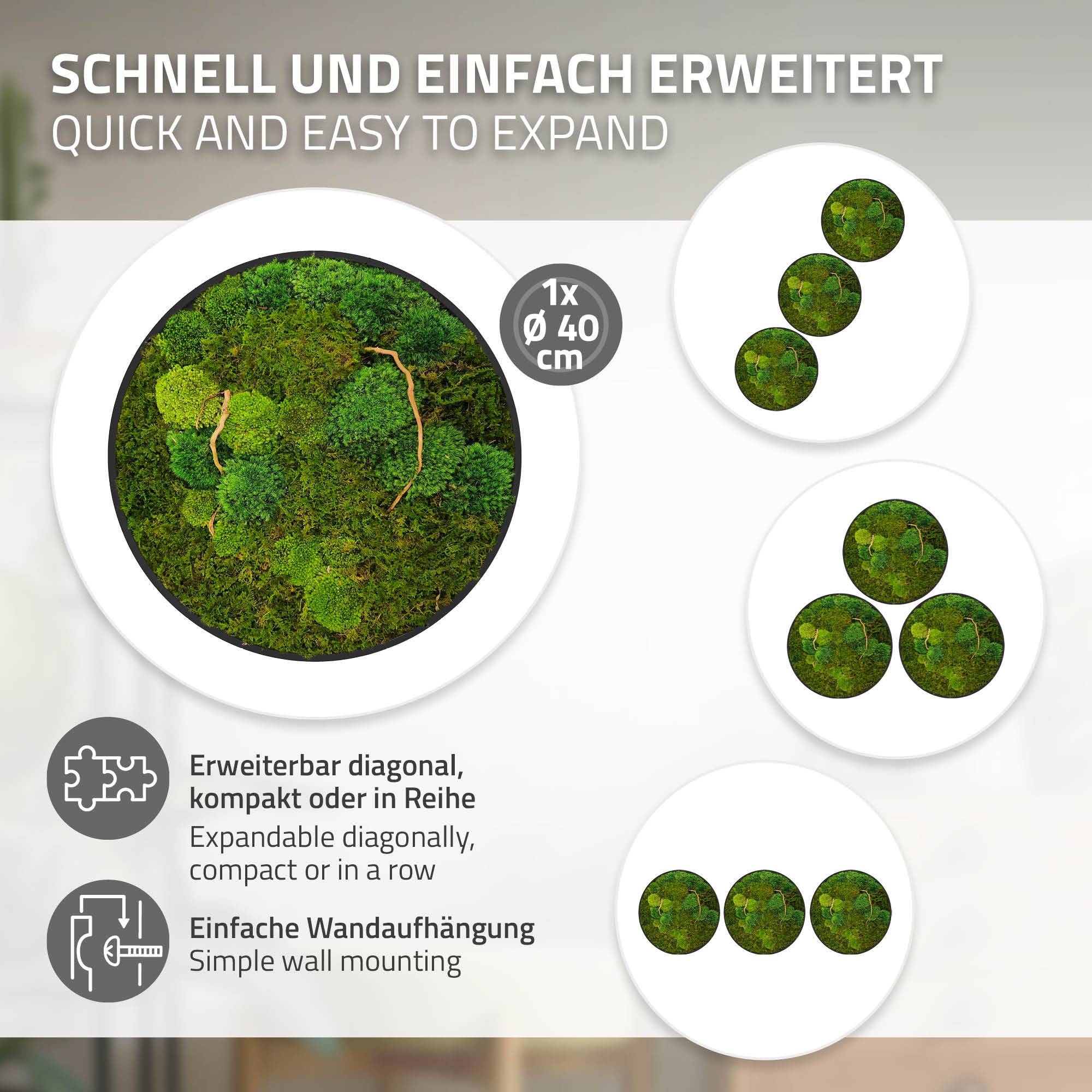 Ecd-Germany - Tableau végétal mural, mélange de mousses stabilisées et de branches, rond Ø40cm, vert, décoration d'intérieur effet 3D, sans entretien, pièce unique - Image 4