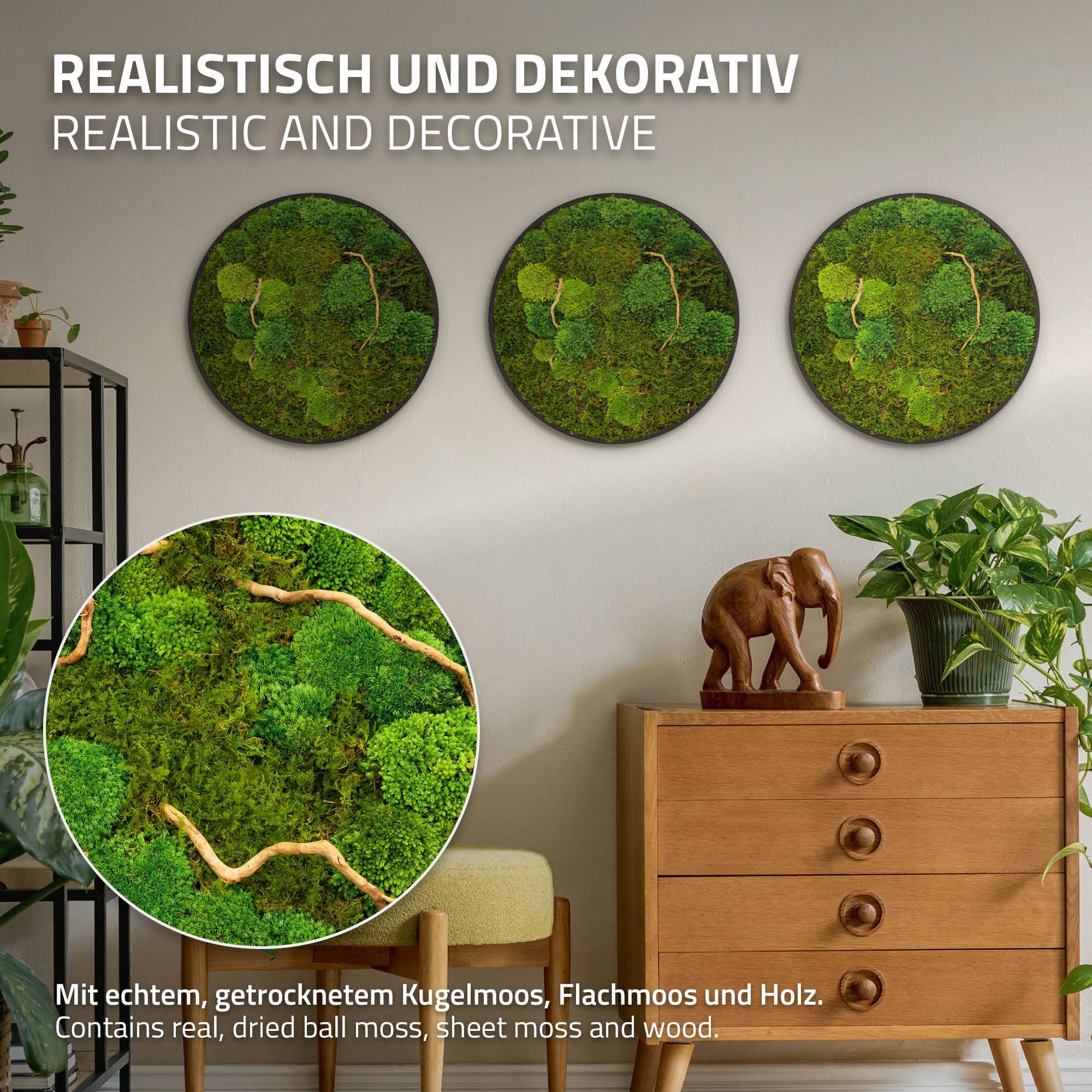 Ecd-Germany - Tableau végétal mural, mélange de mousses stabilisées et de branches, rond Ø40cm, vert, décoration d'intérieur effet 3D, sans entretien, pièce unique - Image 3