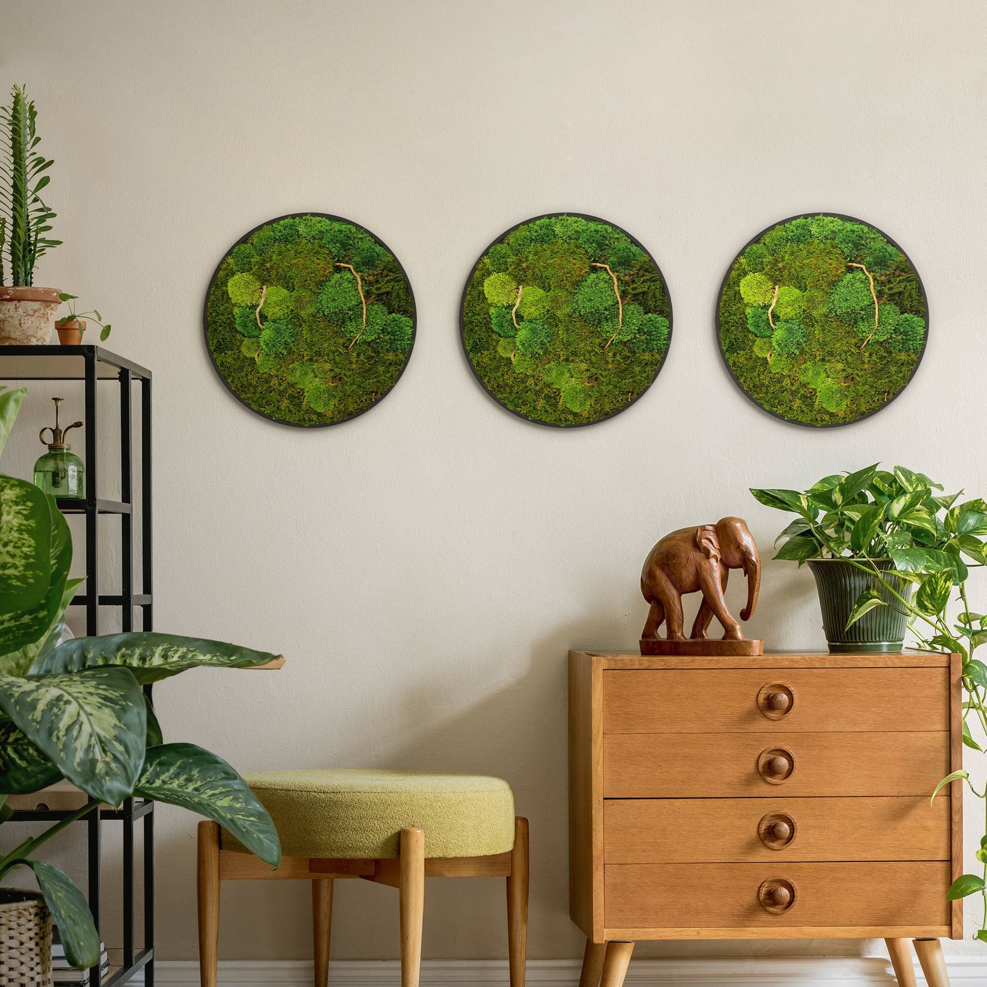 Ecd-Germany - Tableau végétal mural, mélange de mousses stabilisées et de branches, rond Ø40cm, vert, décoration d'intérieur effet 3D, sans entretien, pièce unique - Image 9