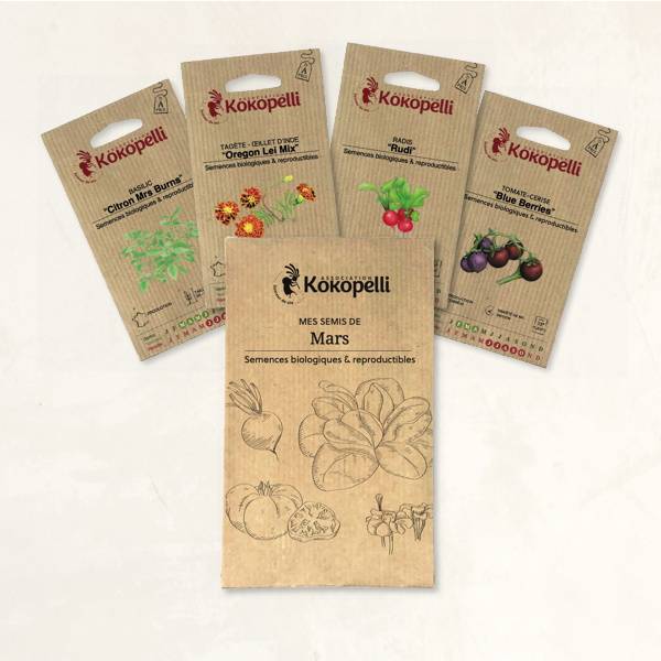 Mes semis de mars - 4 sachets de graines bio à semer- Association Kokopelli - Image 2