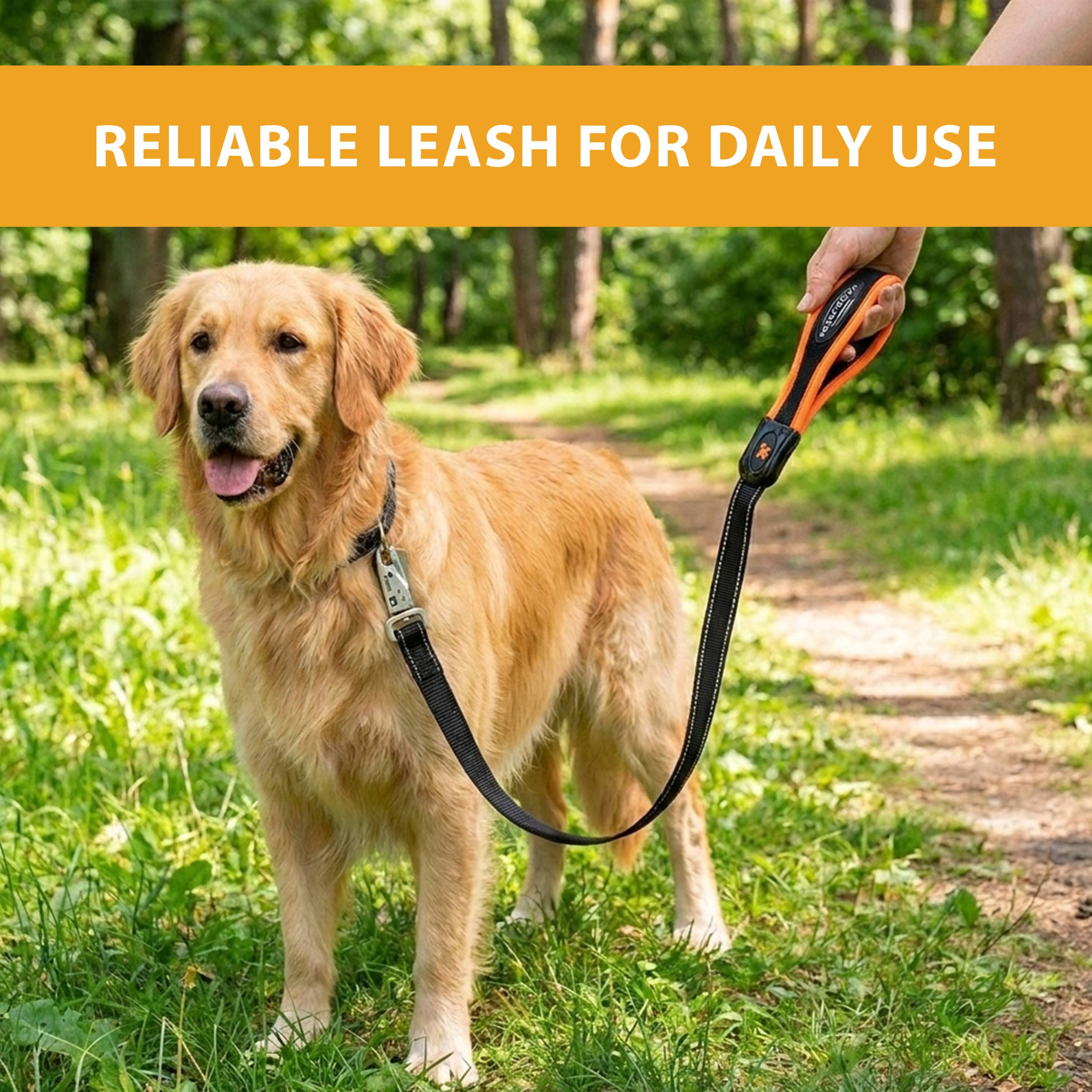 Ferplast - Ferplast Laisse pour chien ERGOFLUO MATIC, Laisse pour chien taille moyenne, Mousqueton innovant avec mécanisme magnétique, Poignée rembourrée, Nylon. - Image 8