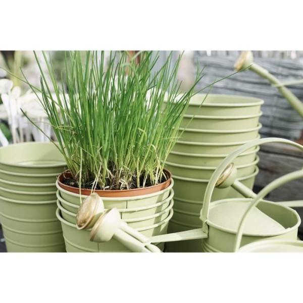 Or Brun - Or Brun-terreau Potager Et Aromatique 4l - Image 3