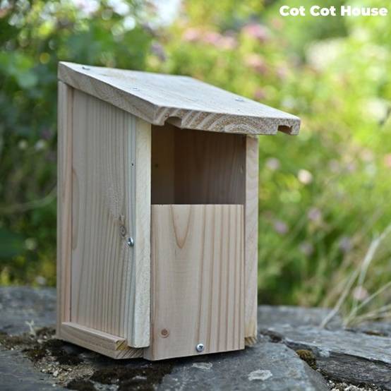 Nichoir à oiseaux en kit pour rouge-gorge - Cot Cot House - Image 2