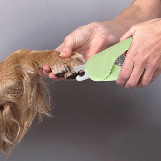 Coupe-Ongles Pro pour Chien et Petit Animal DtopbuyAge - Image 3