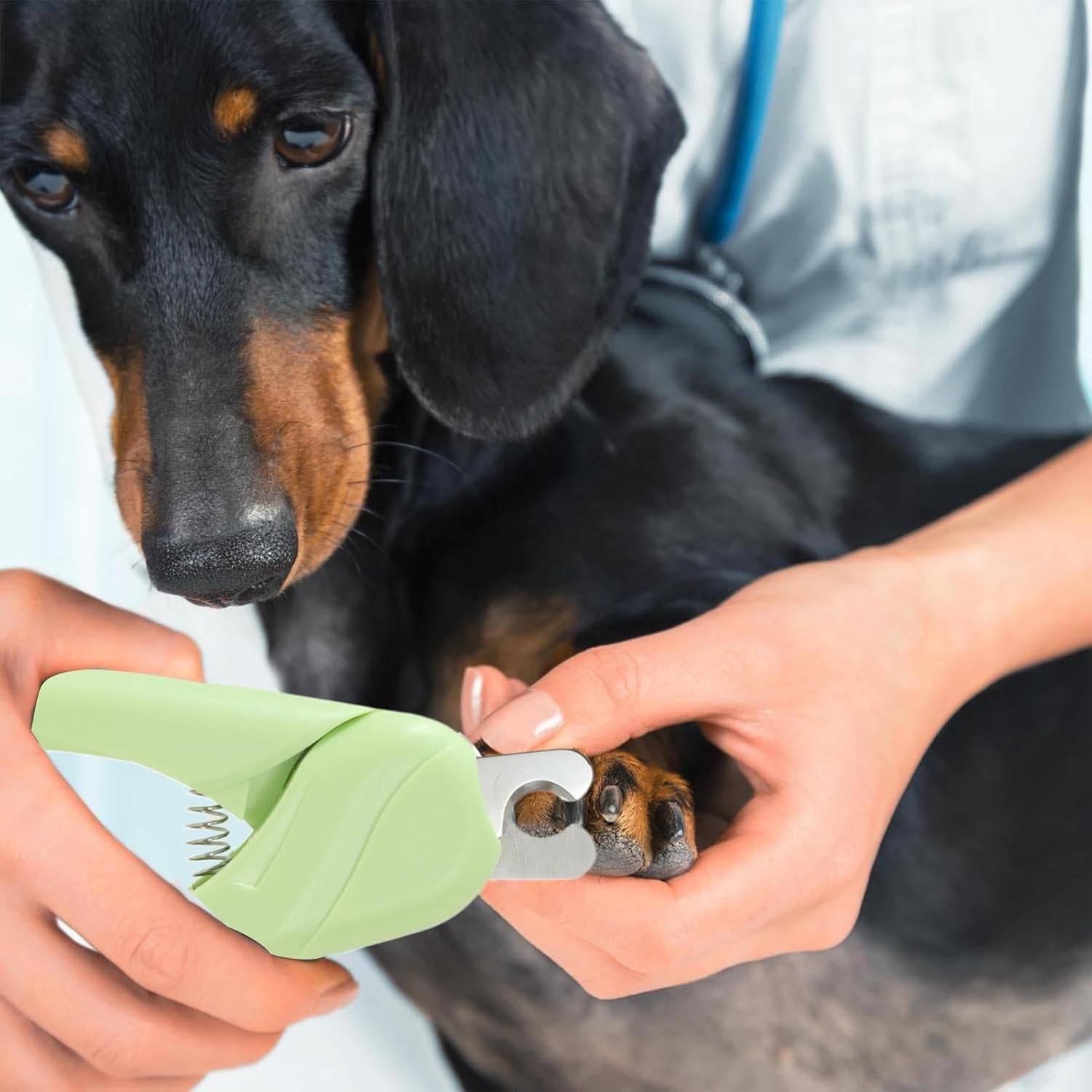 Coupe-Ongles Pro pour Chien et Petit Animal DtopbuyAge - Image 2