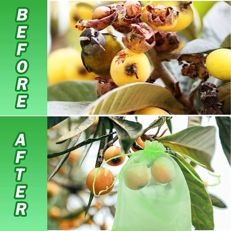 Sachets de protection pour fruits et raisins - Sachets de protection pour plantes - 20 x 30 cm - 100 pièces - Vert-Lytech - Image 2