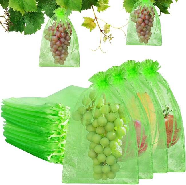 Sachets de protection pour fruits et raisins - Sachets de protection pour plantes - 20 x 30 cm - 100 pièces - Vert-Lytech - Image 8